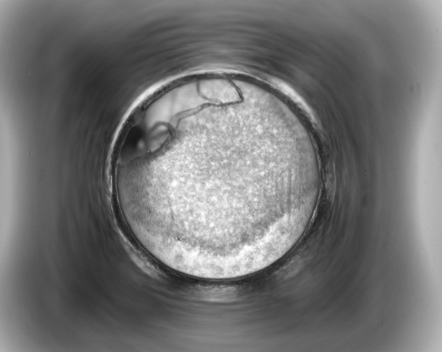 X0000085751372200704091308