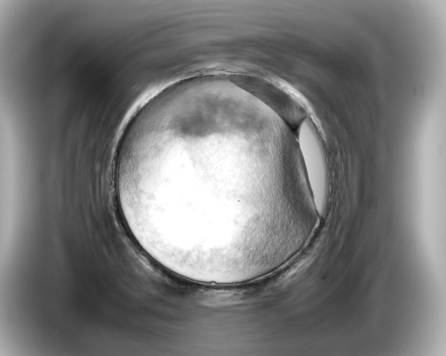 X0000085751373200704091308