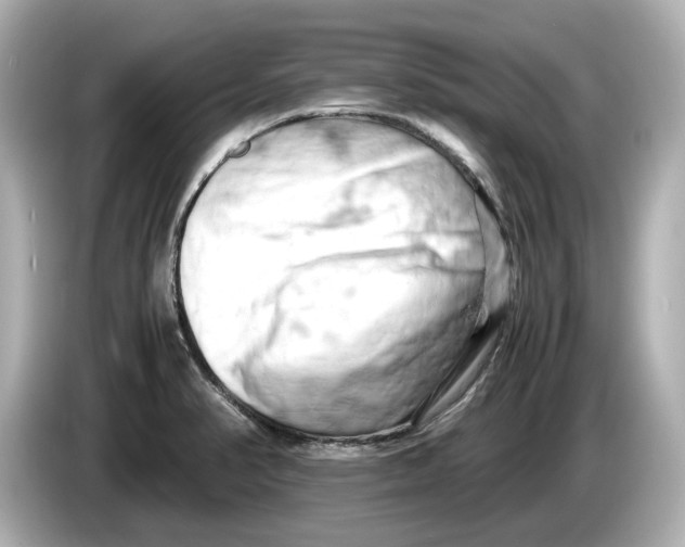 X0000085751374200704091308