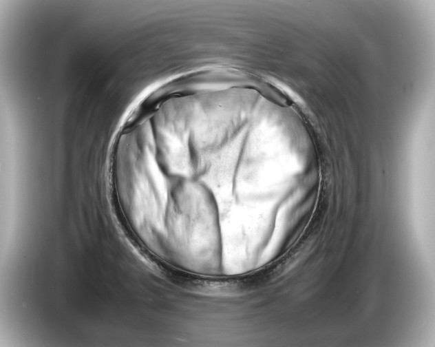 X0000085751375200704091308