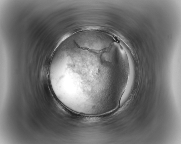 X0000085751377200704091308