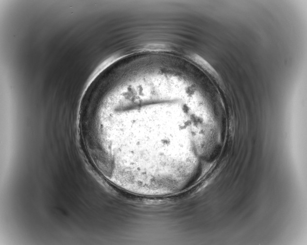 X0000085751378200704091308