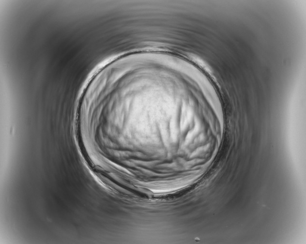 X0000085751379200704091308