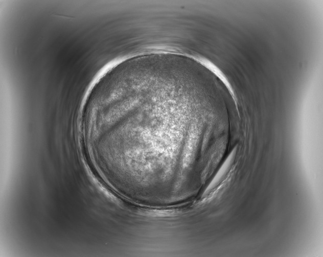 X0000085751381200704091308