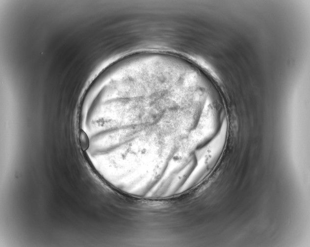 X0000085751382200704091308