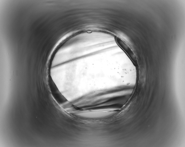 X0000085751384200704091308