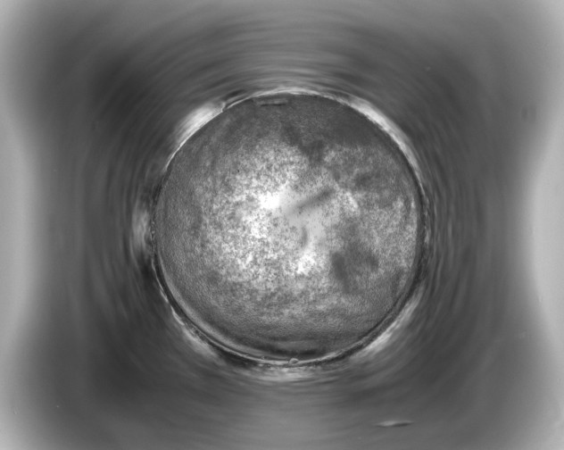 X0000085751385200704091308