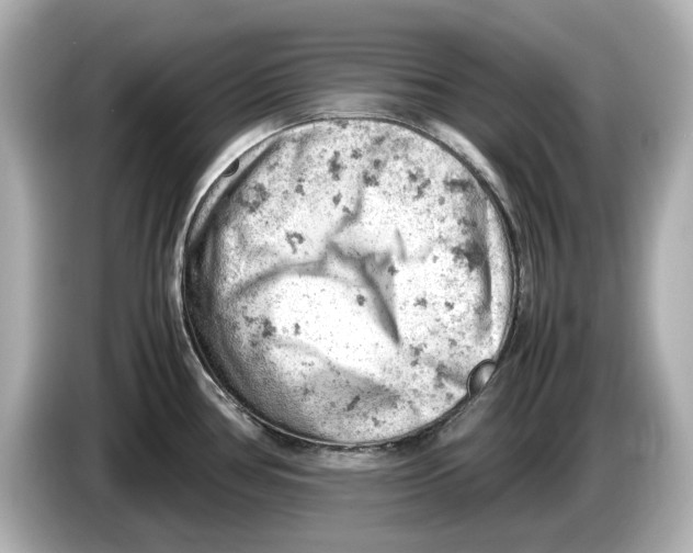 X0000085751386200704091308