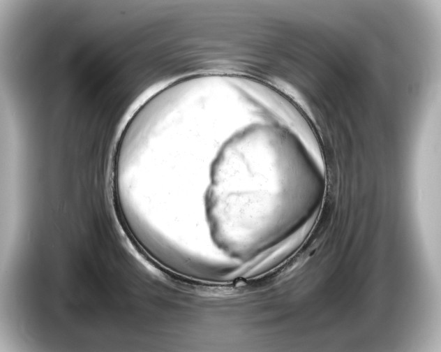 X0000085751387200704091308