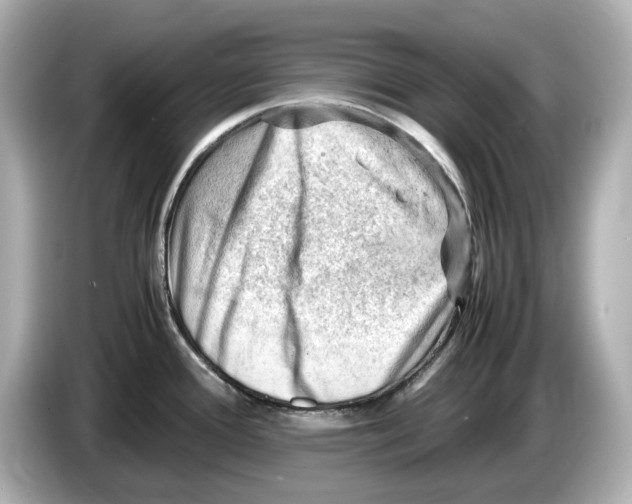 X0000085751388200704091308