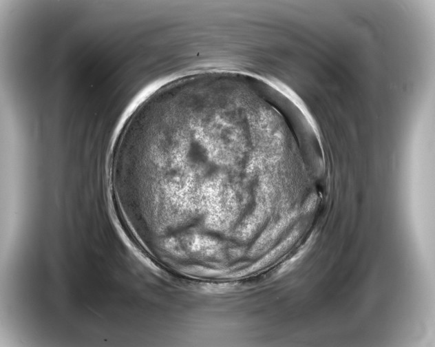 X0000085751389200704091308