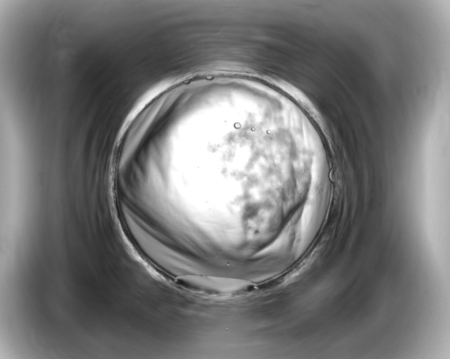 X0000085751390200704091308