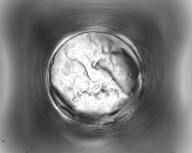 X0000085751391200704091308