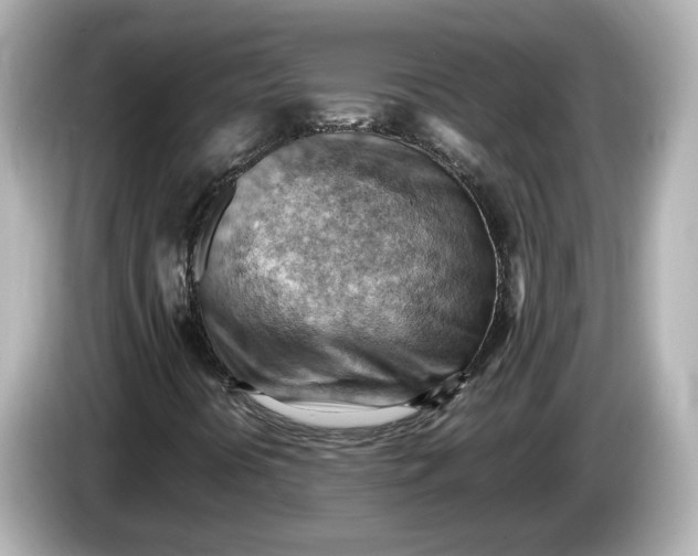 X0000085751394200704091307