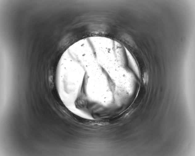 X0000085751396200704091307