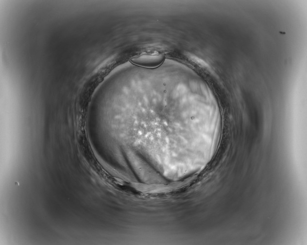 X0000085751399200704091307