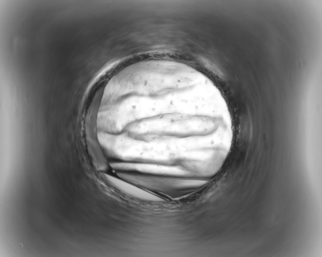 X0000085751400200704091307