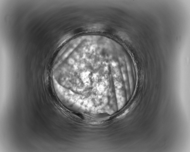 X0000085751401200704091307