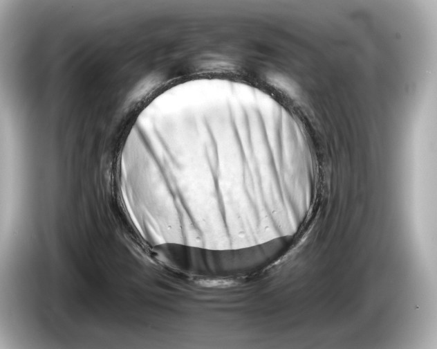 X0000085751403200704091307