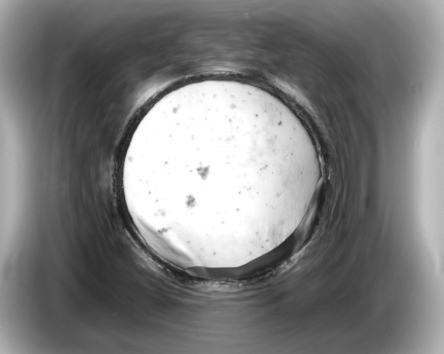 X0000085751404200704091307