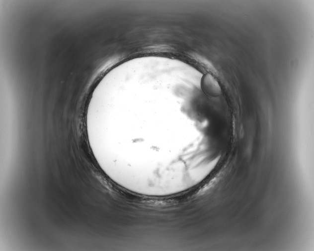 X0000085751405200704091307