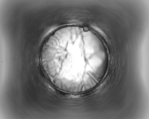 X0000085751407200704091307