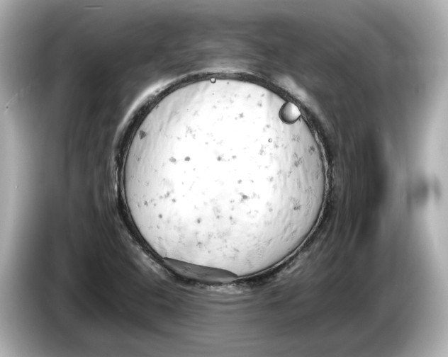 X0000085751408200704091307