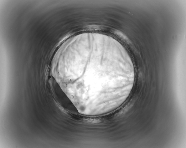 X0000085751409200704091307