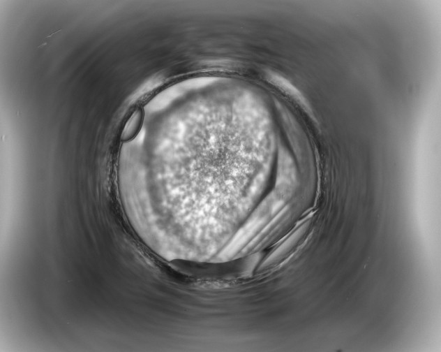 X0000085751411200704091308