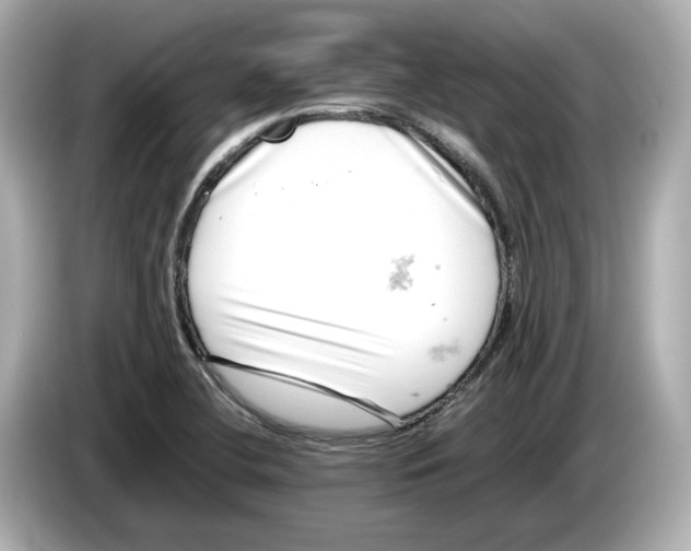 X0000085751412200704091308