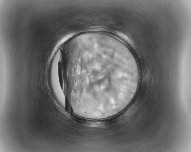 X0000085751413200704091308