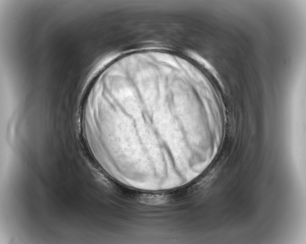 X0000085751415200704091308