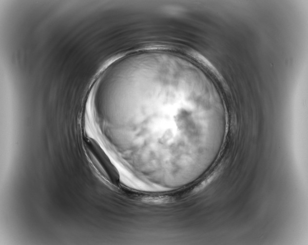 X0000085751417200704091308