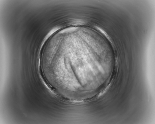 X0000085751418200704091308