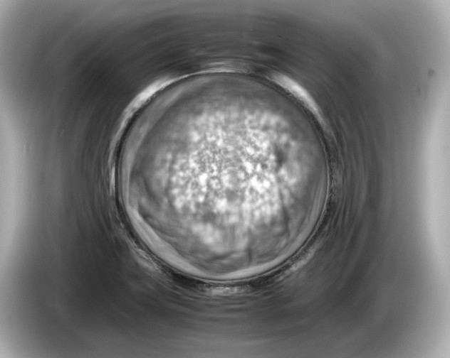 X0000085751419200704091308