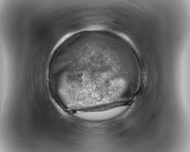 X0000085751422200704091308