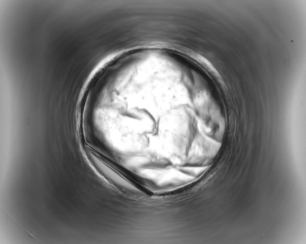 X0000085751424200704091308