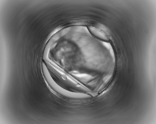 X0000085751425200704091308