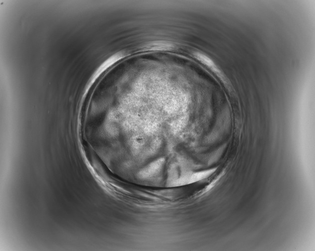 X0000085751426200704091308