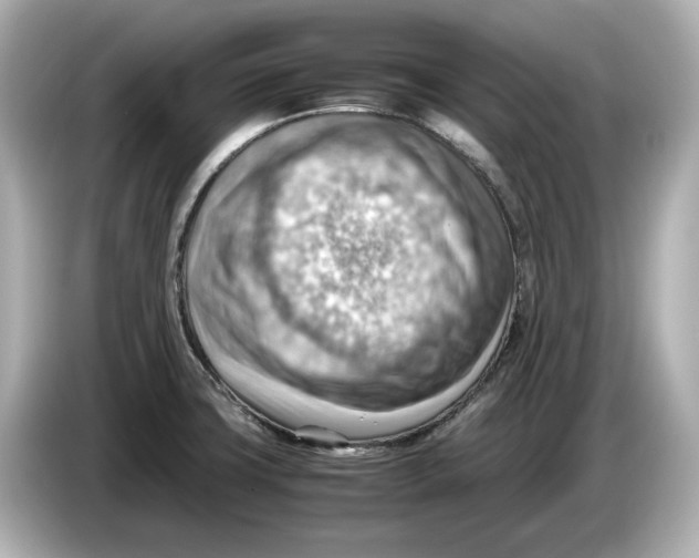 X0000085751427200704091308