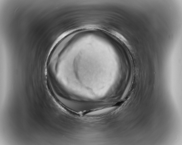 X0000085751428200704091308