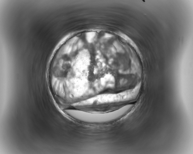 X0000085751429200704091308