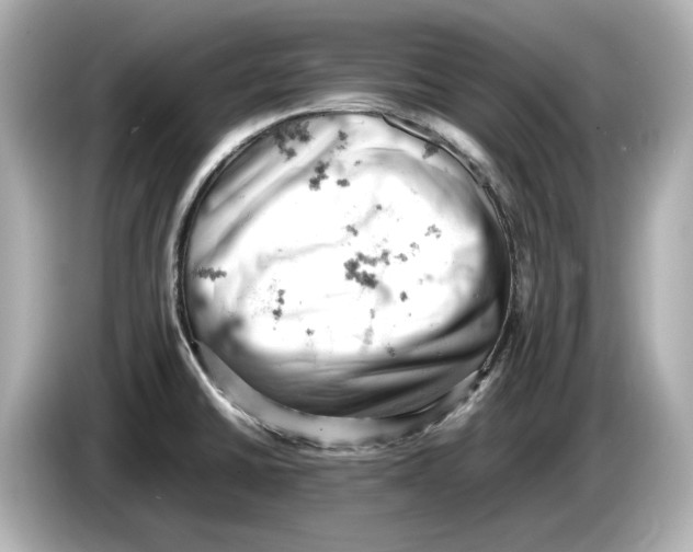 X0000085751430200704091308