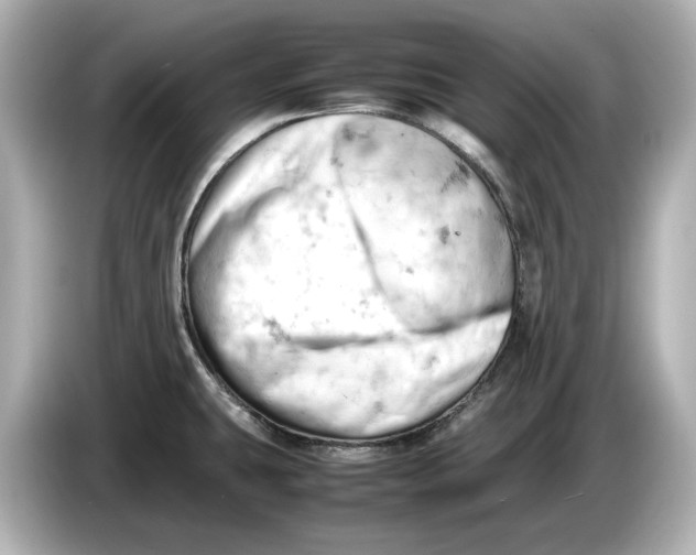 X0000085751431200704091308