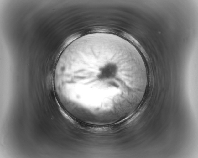 X0000085751433200704091308