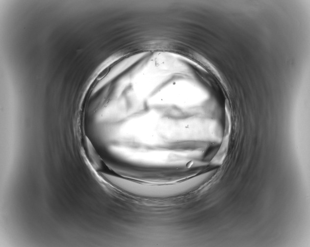 X0000085751434200704091308