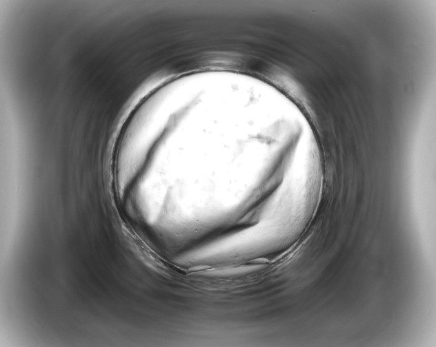 X0000085751435200704091308