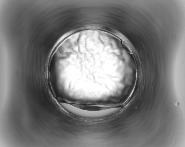 X0000085751436200704091308