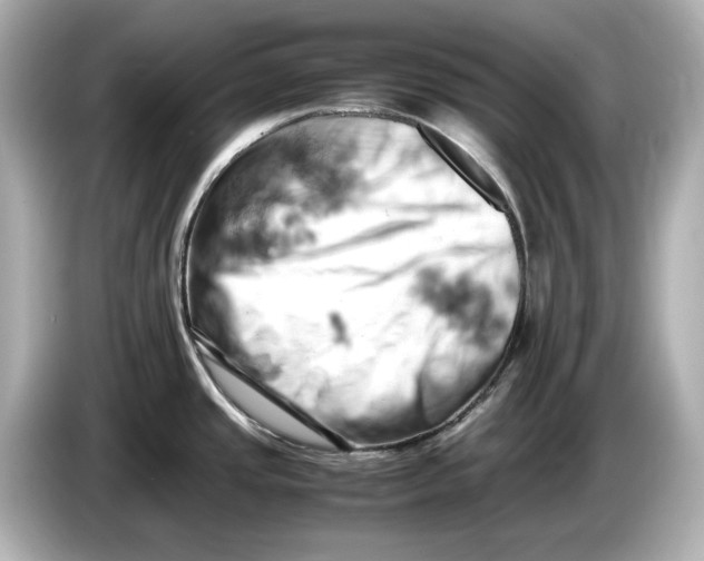 X0000085751437200704091308