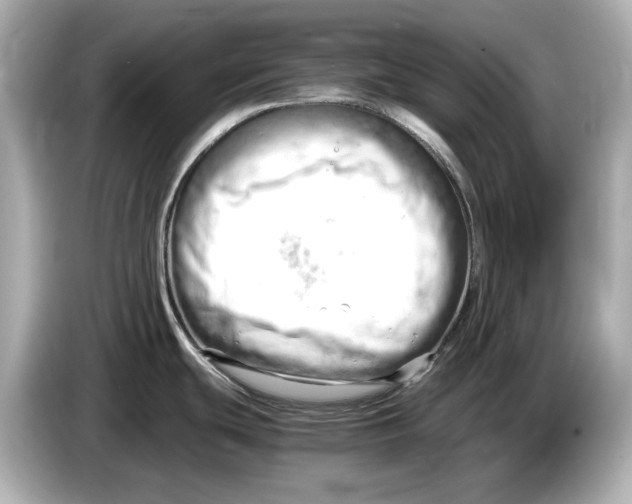 X0000085751439200704091308